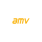 AMV Networks Logo