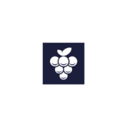 Grape.io Logo